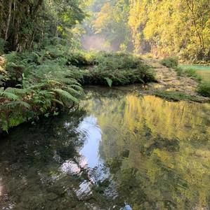 Meet your Posher, Josh